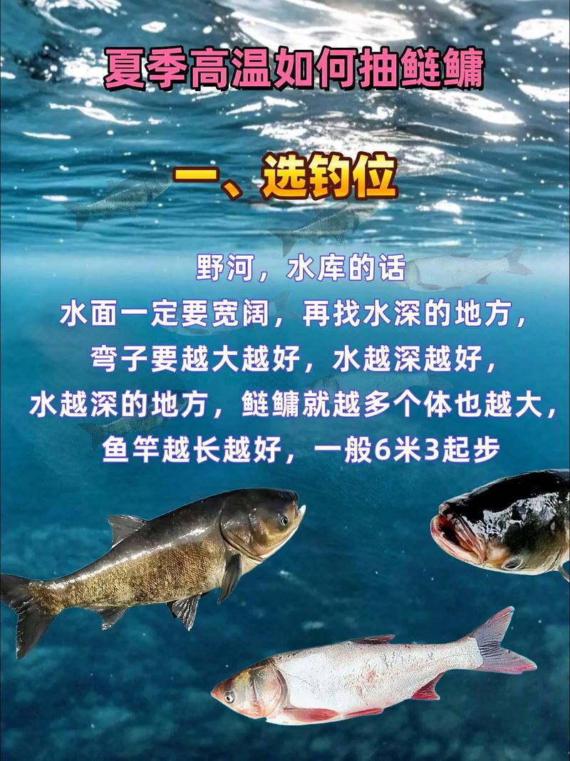 鰱鳙釣位選擇方法_鰱魚怎么釣_垂釣鰱鳙技巧