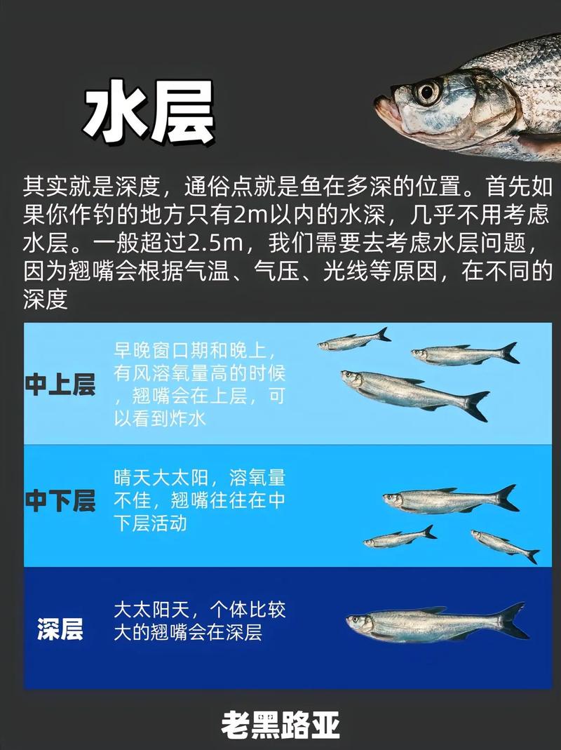 夏季路亞翹嘴最佳時間段_亮片加串鉤釣翹嘴圖_路亞翹嘴亮片技巧