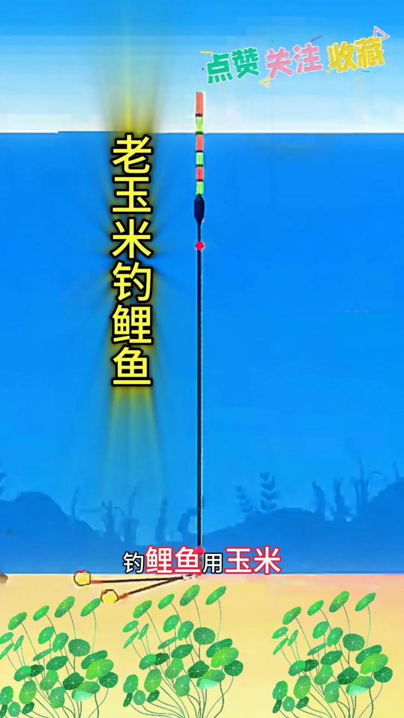 海竿釣鯉魚方法_海桿玉米釣鯉魚絕招?_爆炸鉤釣法技巧