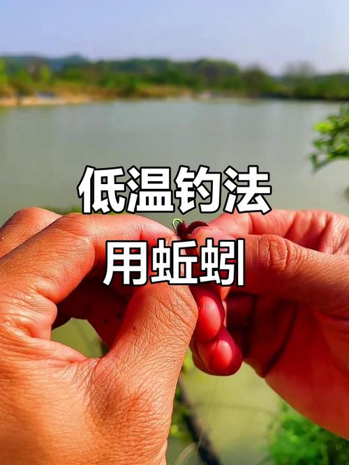 蚯蚓掛鉤方法_釣魚技巧圖解大全_蚯蚓釣魚技巧