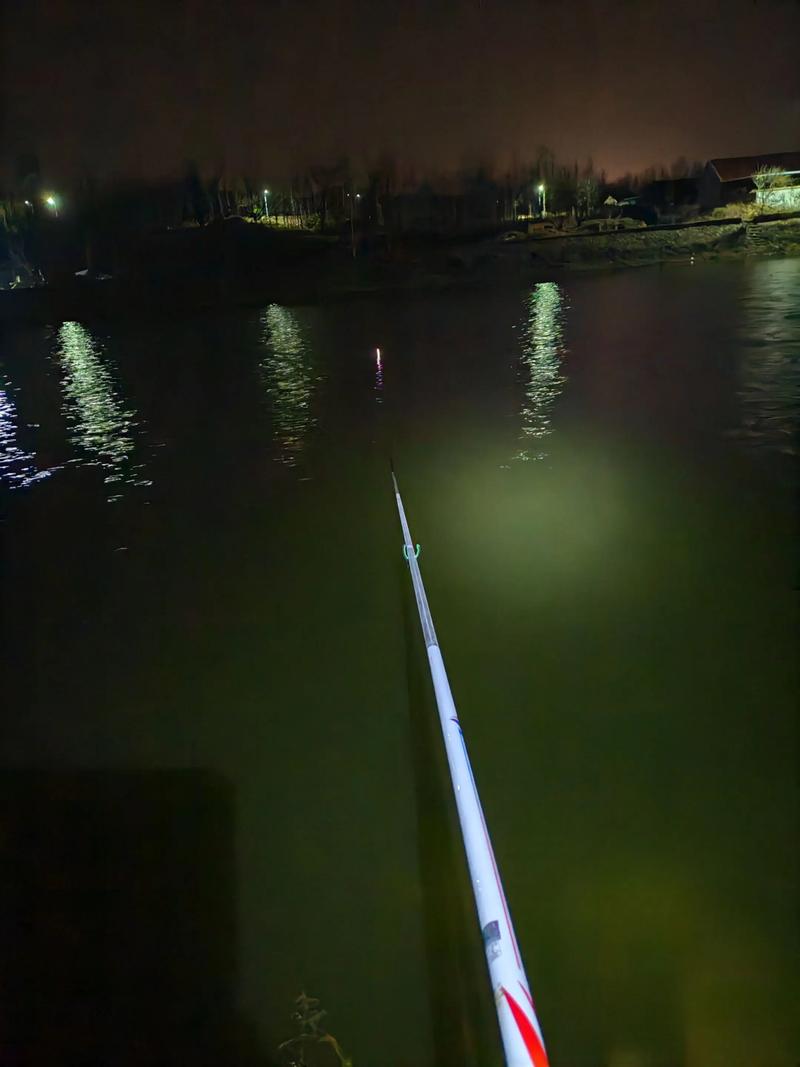夜釣優勢_晚上去釣魚吧?_夜釣安全技巧