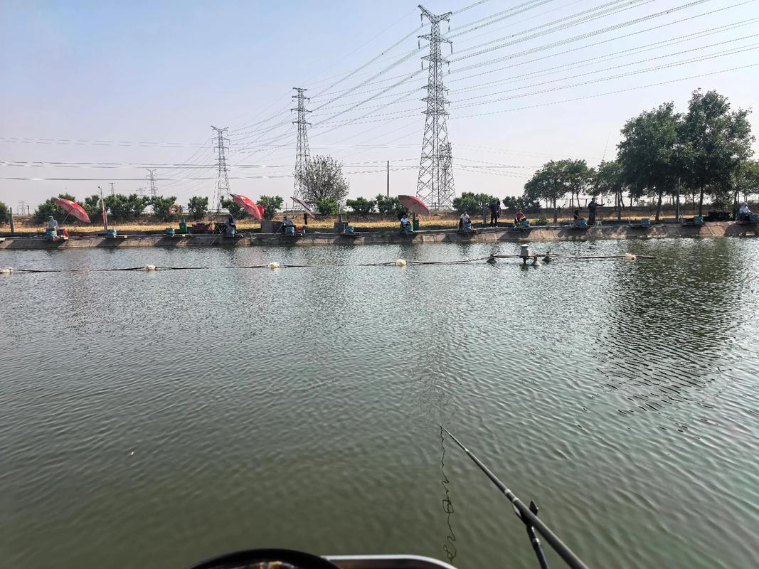 黑坑釣魚比賽_釣魚黑坑定義_黑坑是什么意思