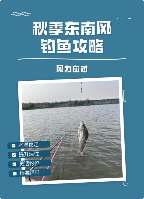 東南風好釣魚嗎_風向與釣魚效果_魚口與水質關系