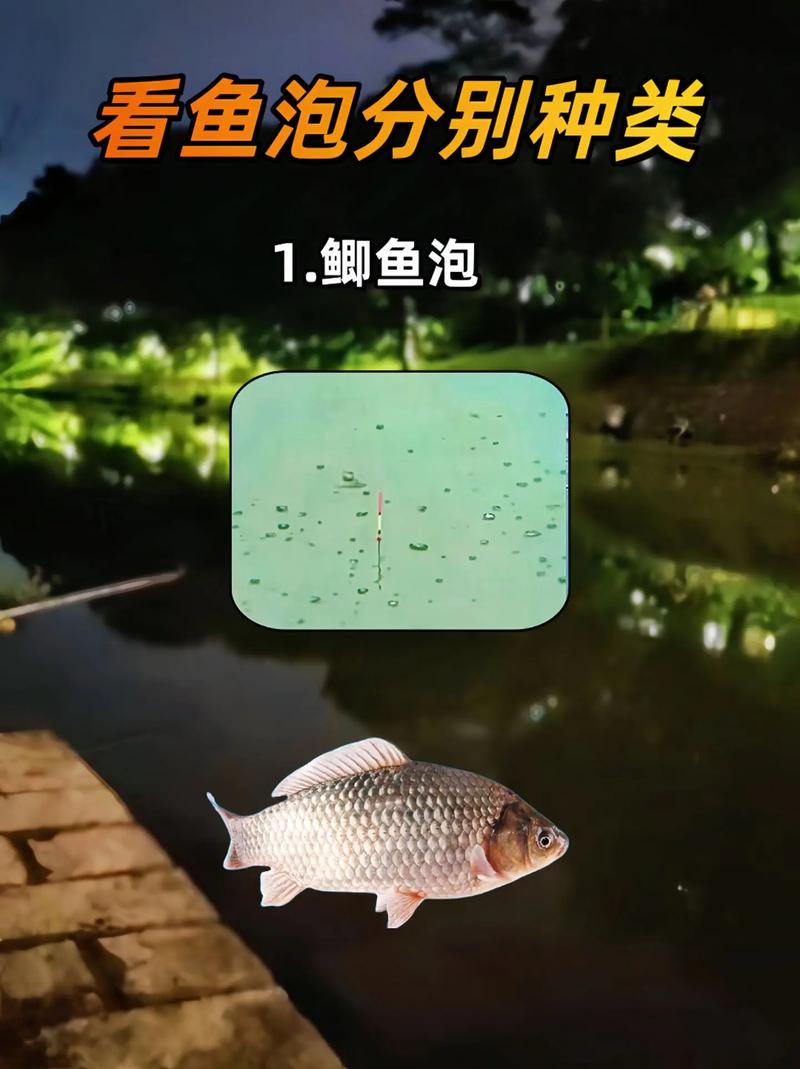 冬釣鯽魚視頻野釣實戰_鯽魚冬季魚星判斷技巧_冬季野釣鯽魚魚泡識別
