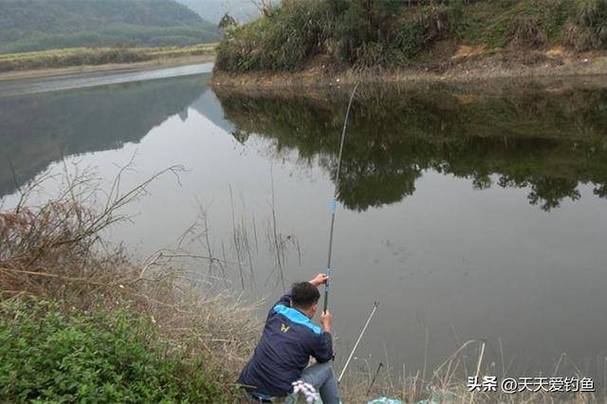 雙鉛釣法圖解_冬季釣鯽魚_懸墜釣鯽魚技巧