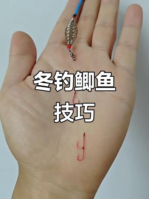 懸墜釣鯽魚技巧_冬季釣鯽魚_雙鉛釣法圖解