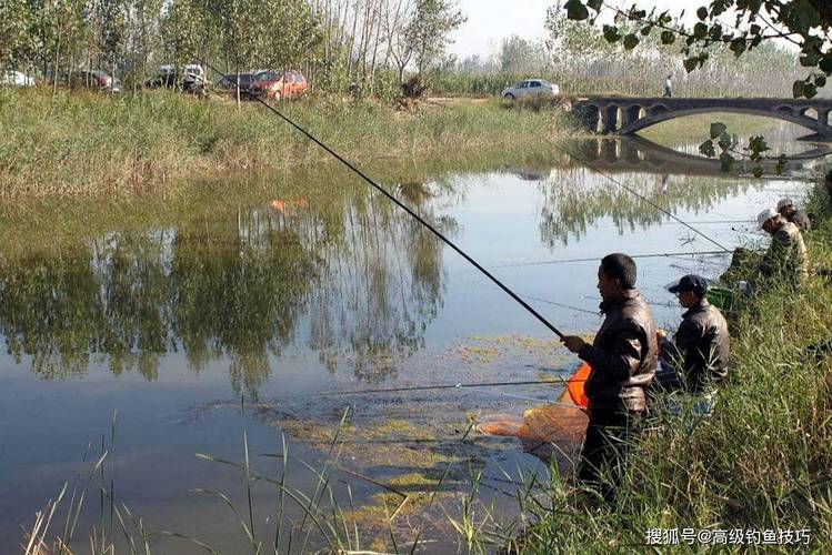 水庫釣魚與河流釣魚的區別_水庫釣大魚視頻_水庫釣魚環境優勢