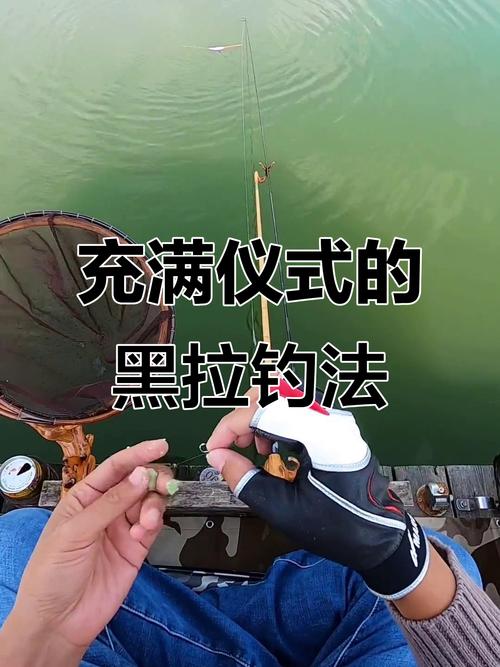 黑魚釣點選擇技巧_活餌釣黑魚方法_黑魚釣法視頻