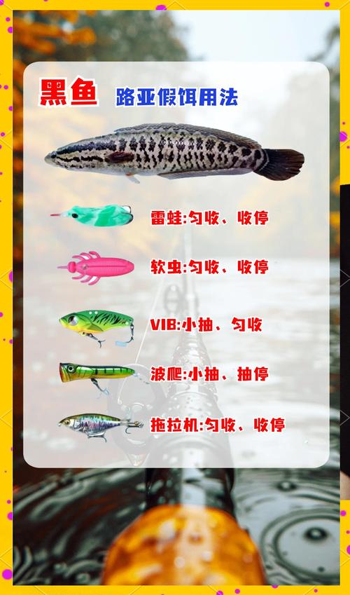 黑魚釣法視頻_活餌釣黑魚方法_黑魚釣點選擇技巧