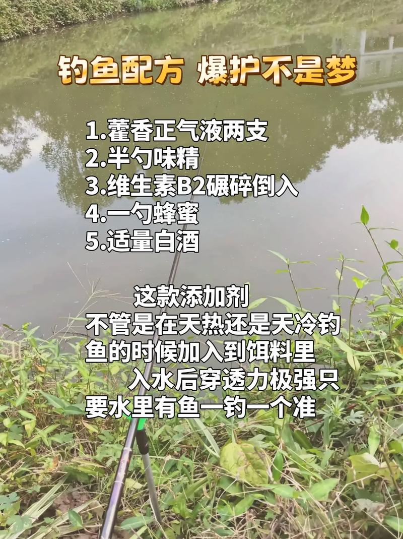 秋釣餌料配方_實戰釣魚餌料配方_自制水庫釣魚打窩料經典配方