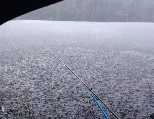 小雨天垂釣技巧_夏季雨天釣魚_下雨天釣魚好釣嗎