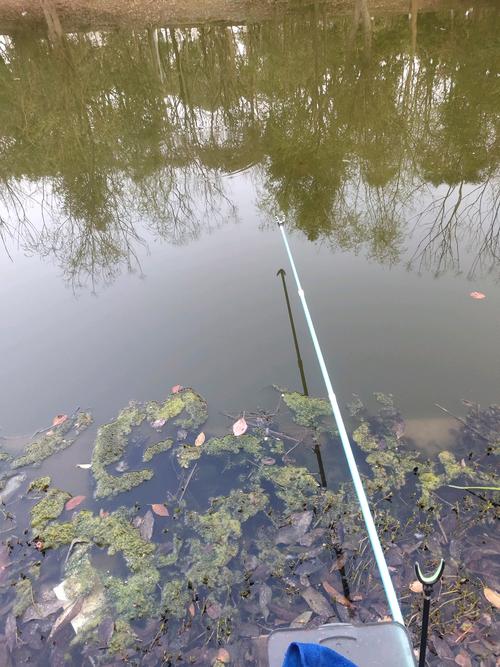 下雨天釣魚好釣嗎_小雨天垂釣技巧_夏季雨天釣魚