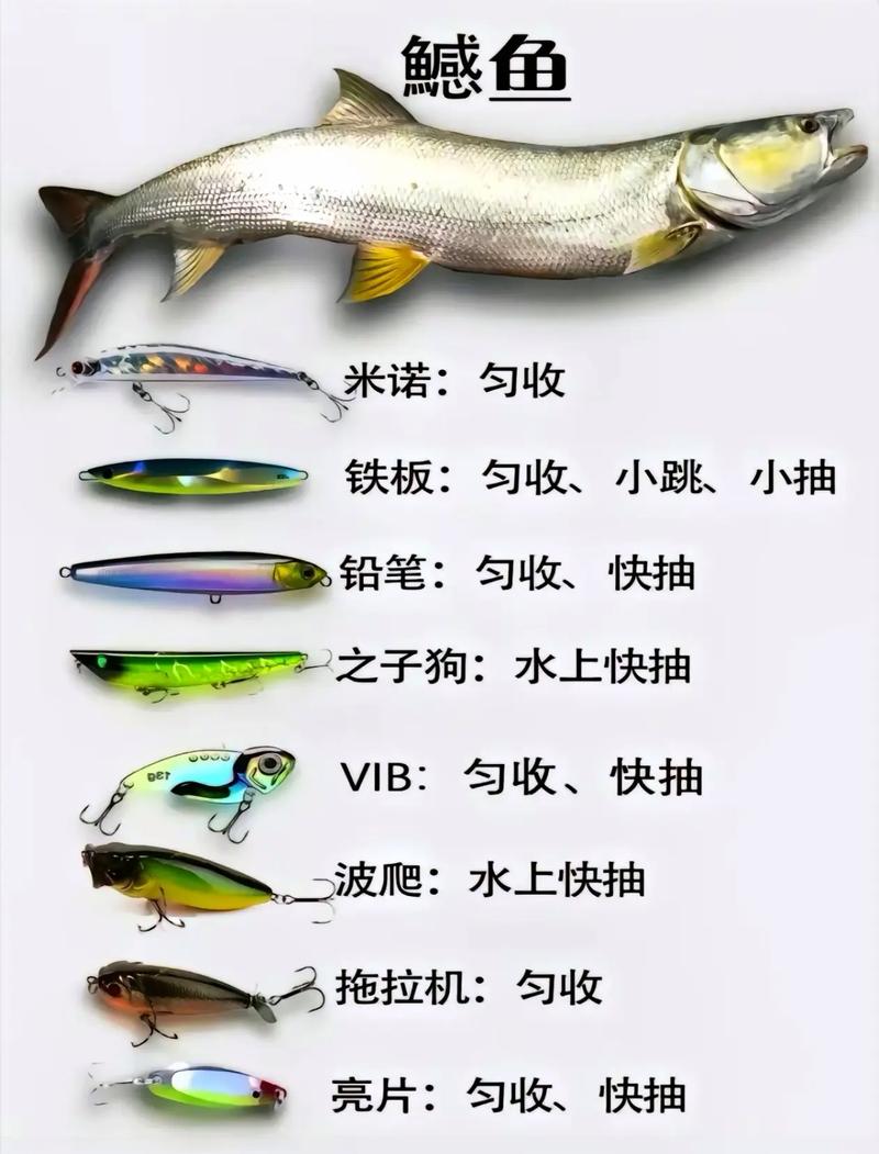 鱸魚假餌顏色搭配_路亞假餌顏色選擇_路亞釣鯉魚用什么假餌