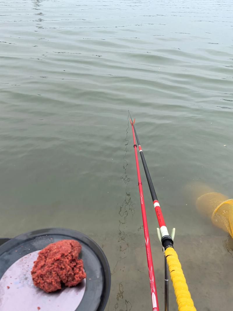 避小魚配方_夏季釣魚技巧_夏季釣魚技巧全攻略