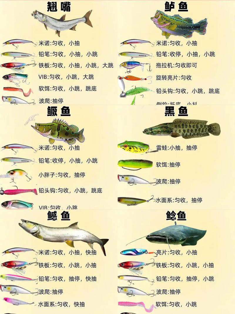 路亞釣魚入門教學_初學路亞釣魚教學視頻_新手學路亞釣教學視頻