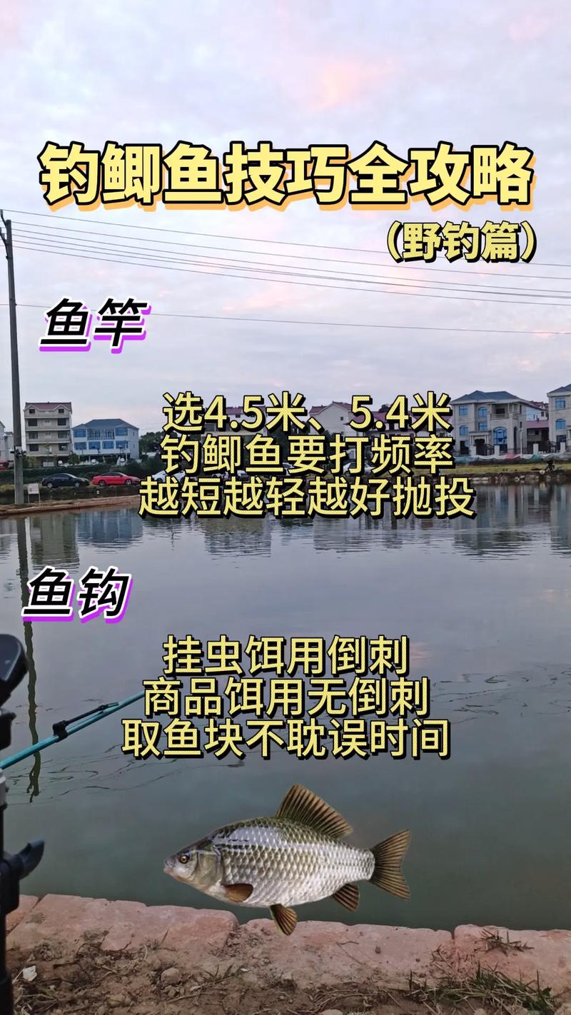 長桿釣鯽魚技巧_釣魚視頻野釣全攻略_冬季長桿野釣指南