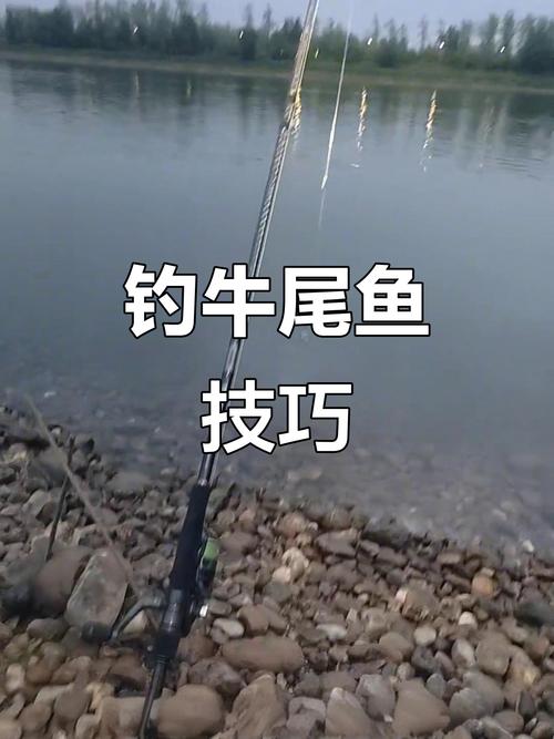 釣魚新手餌料推薦_藍鯽餌料野釣效果_我的釣魚日記釣魚入門裝備魚餌篇