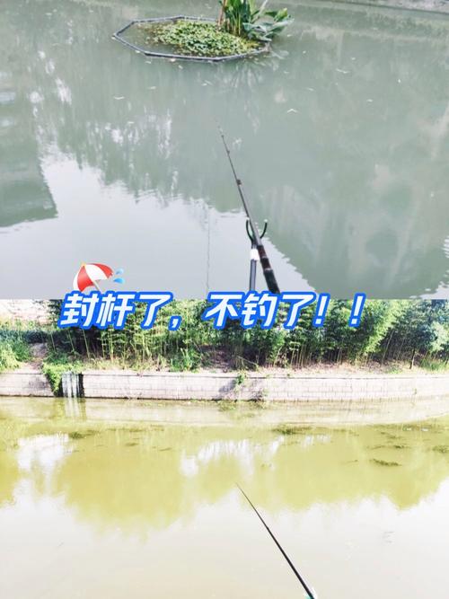杭州釣魚太難了老釣友也犯難_釣魚杭州_杭州釣魚網
