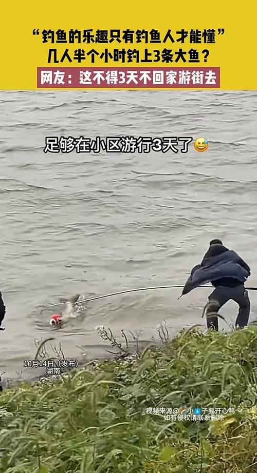 釣魚杭州_杭州釣魚網_杭州釣魚太難了老釣友也犯難