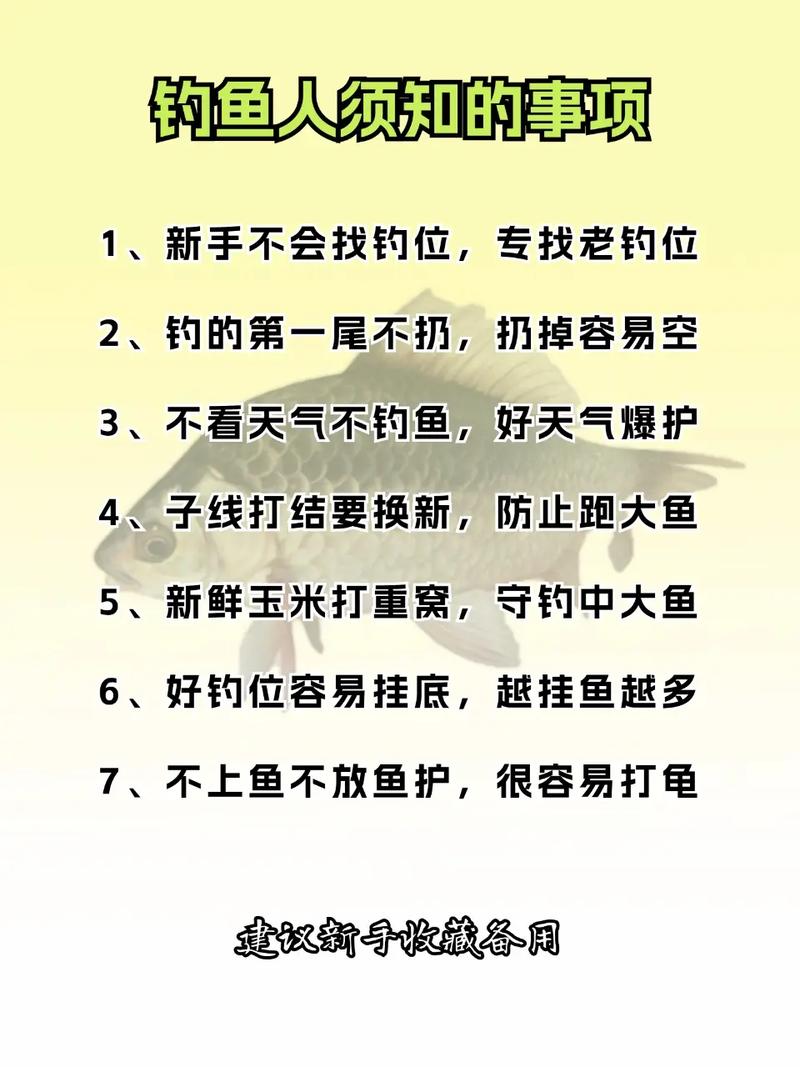 網約車運管執法處罰流程_滴滴快車怎么防止釣魚_滴滴運管釣魚執法