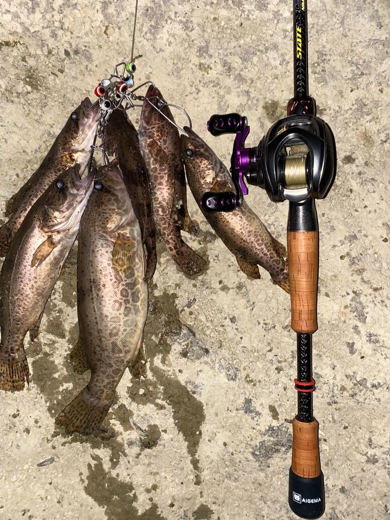 鱖魚路亞釣組選擇攻略_路亞鱖魚_鱖魚春季秋季作釣技巧