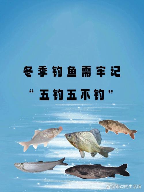 河北省釣魚協會必看_釣魚協會怎么收費標準_河北釣魚協會會長