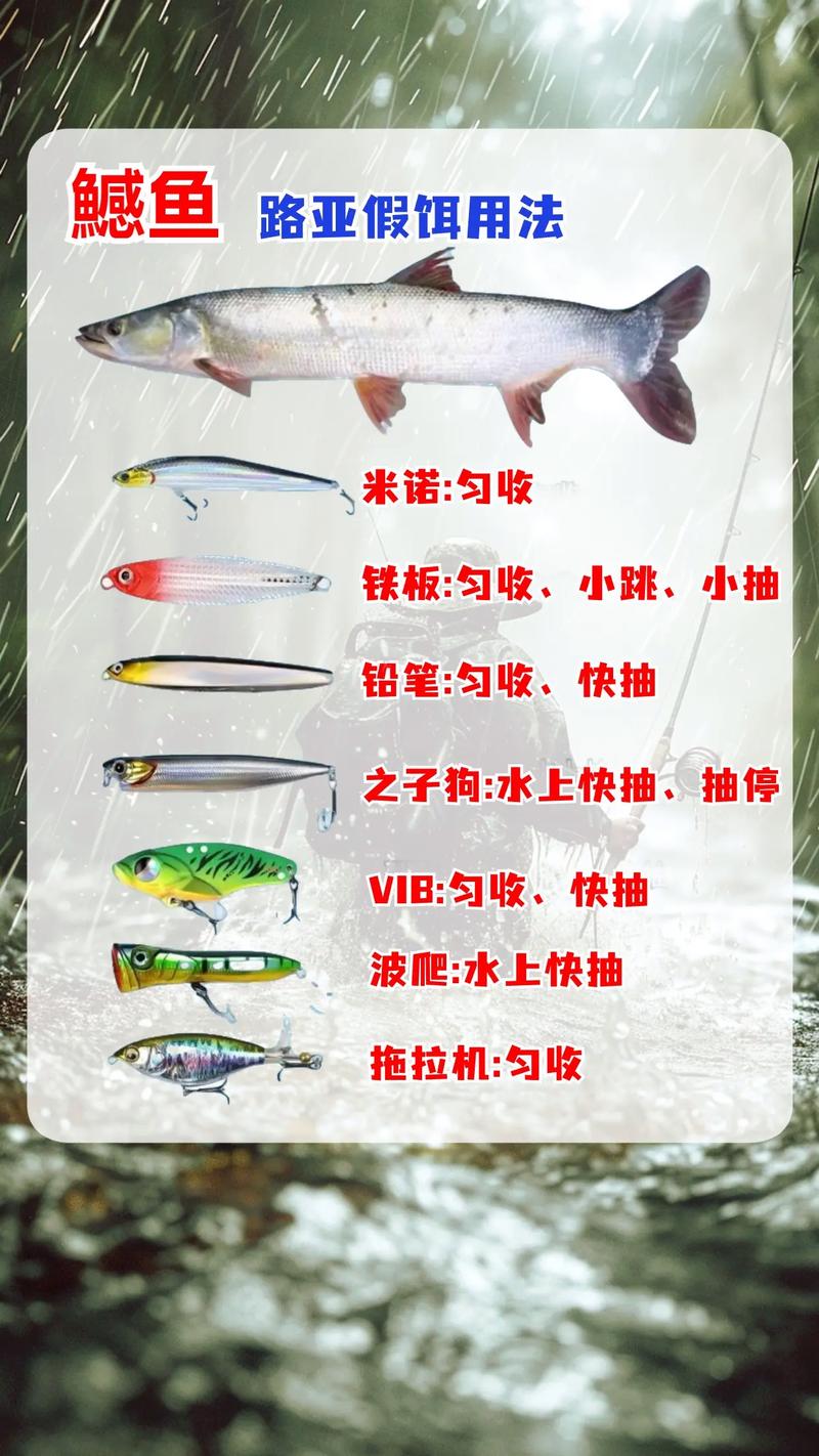 釣黑魚護仔技巧_烏鱧垂釣方法和釣烏鱧技巧介紹_釣黑魚找巢穴