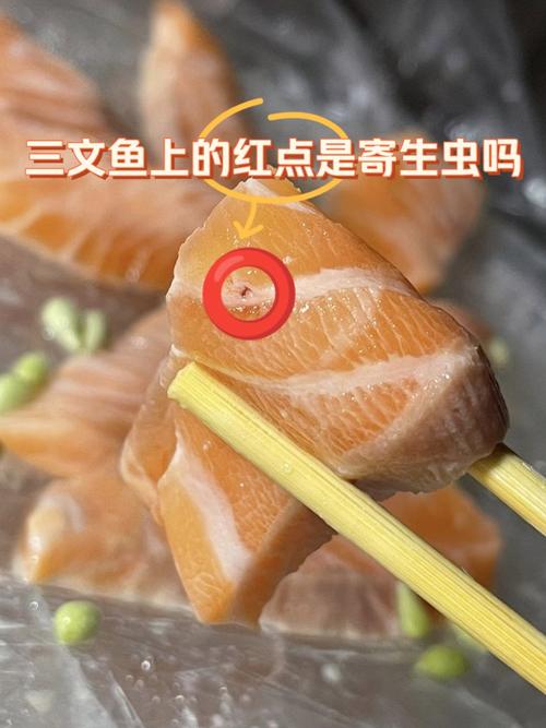 海鮮寄生蟲感染_魚生寄生蟲_生魚片寄生蟲風險