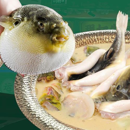 如何預防河鲀魚中毒_河鲀魚中毒癥狀_河鲀_河鲀怎么吃