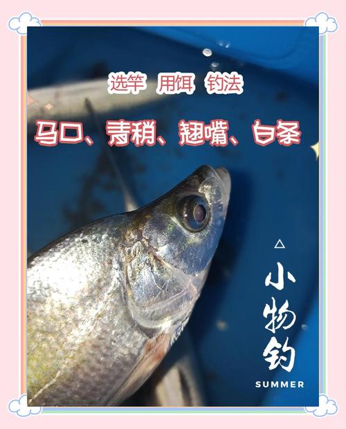 路亞釣翹嘴魚的最佳餌料_路亞翹嘴技巧_釣翹嘴技巧路亞釣白條