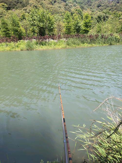 柳卅釣友之家_八桂釣魚交流平臺_八桂釣魚柳州釣友之家