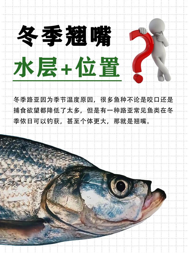 路亞翹嘴視頻_冬季路亞鱖魚標點_冬季路亞翹嘴標點