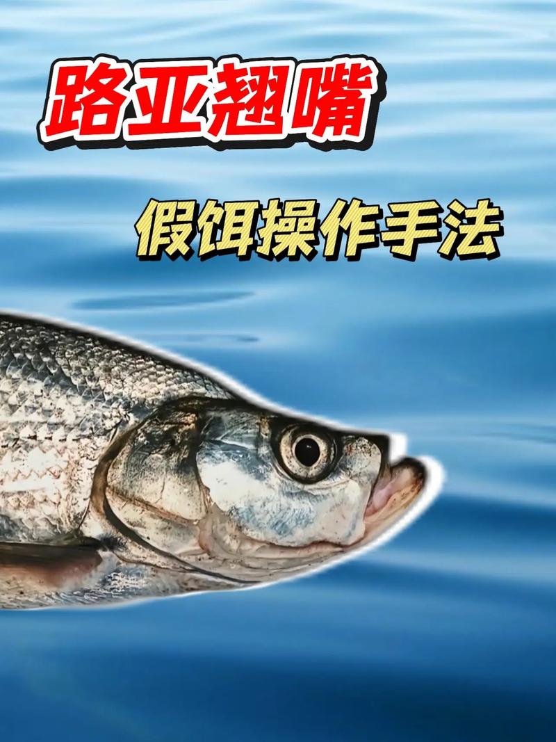 冬季路亞翹嘴標點_路亞翹嘴視頻_冬季路亞鱖魚標點