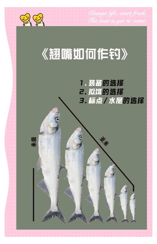 翹嘴魚釣法_路亞釣翹嘴技巧_路亞翹嘴只需三招搞定