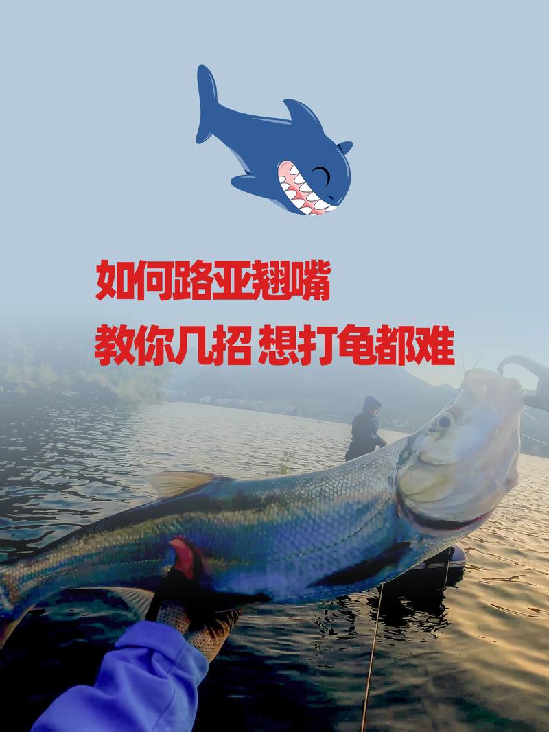 路亞翹嘴只需三招搞定_翹嘴拖釣法_翹嘴筏釣技巧