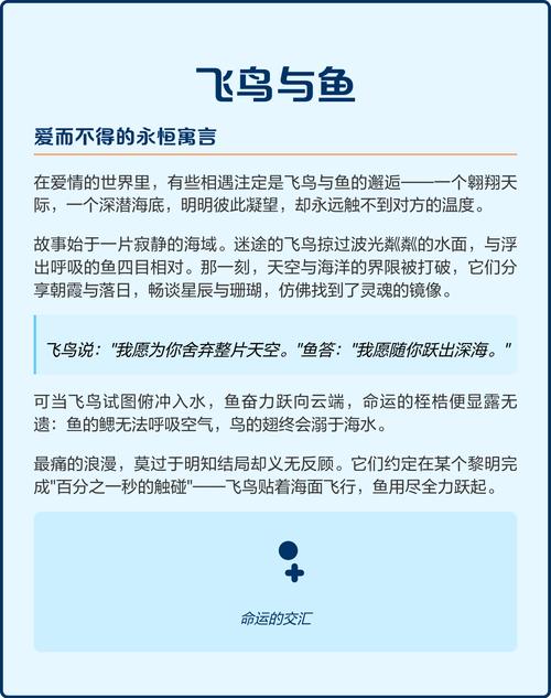 飛鳥和魚的愛情故事_飛鳥和魚的友情故事_飛鳥與魚的故事