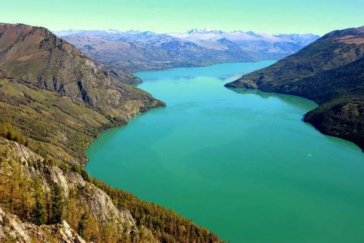 15米巨型哲羅鮭圖片_喀納斯湖大紅魚_哲羅鮭124米真相