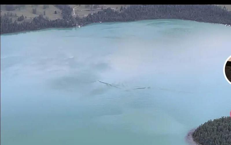 哲羅鮭124米真相_喀納斯湖大紅魚_15米巨型哲羅鮭圖片