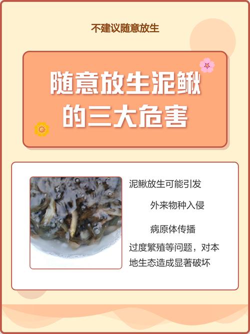 放生泥鰍_放生生態危害_放生行為規范