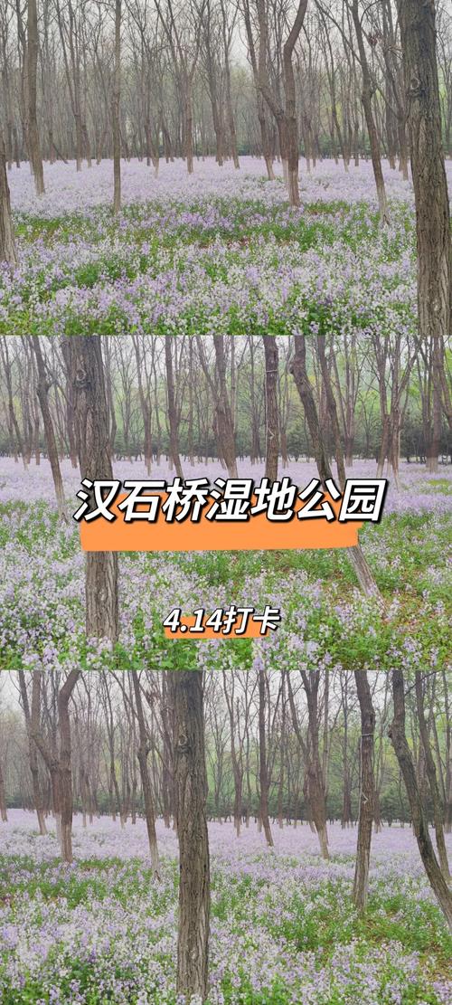 漢石橋濕地公園_北京漢石橋濕地公園_北京濕地旅游攻略