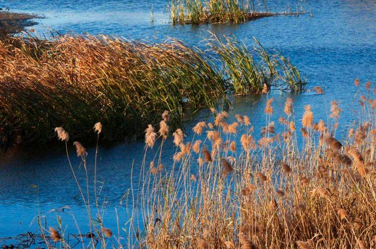 北京漢石橋濕地公園_漢石橋濕地公園_北京濕地旅游攻略