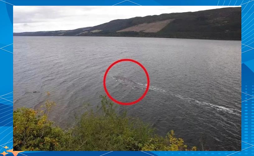 喀納斯湖水怪 哲羅鮭 巨型魚類_15米巨型哲羅鮭圖片