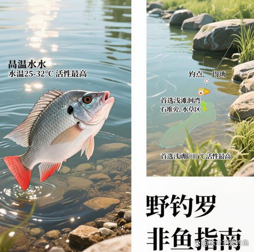 玉米釣草魚方法_野釣羅非魚實用餌料配方(一)_野釣玉米餌料技巧
