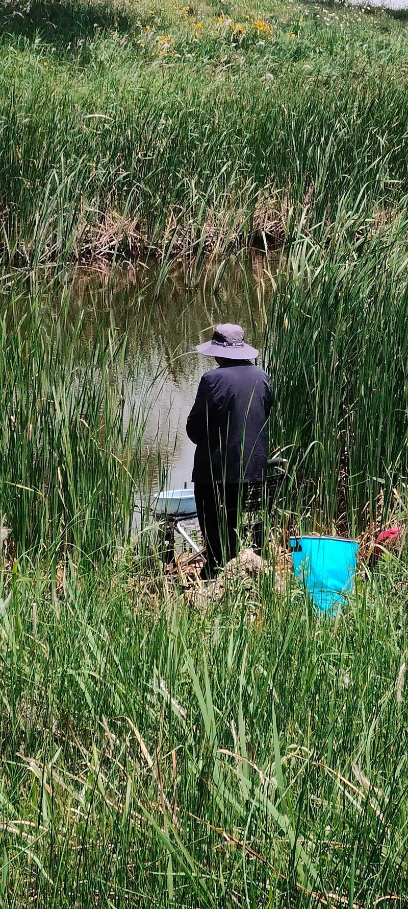 武漢釣魚新政策_武漢釣魚的環境在急劇惡化_武漢釣魚2021