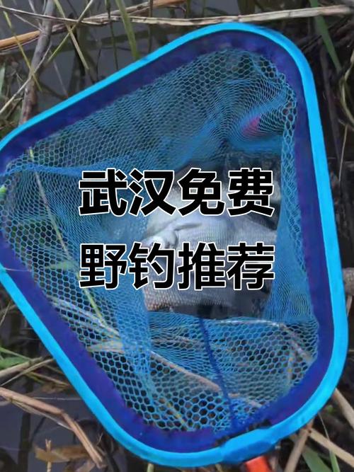 長江魚釣點分享_武漢釣魚哪里好？這15個釣點快收好-好釣魚_白沙洲江邊釣點