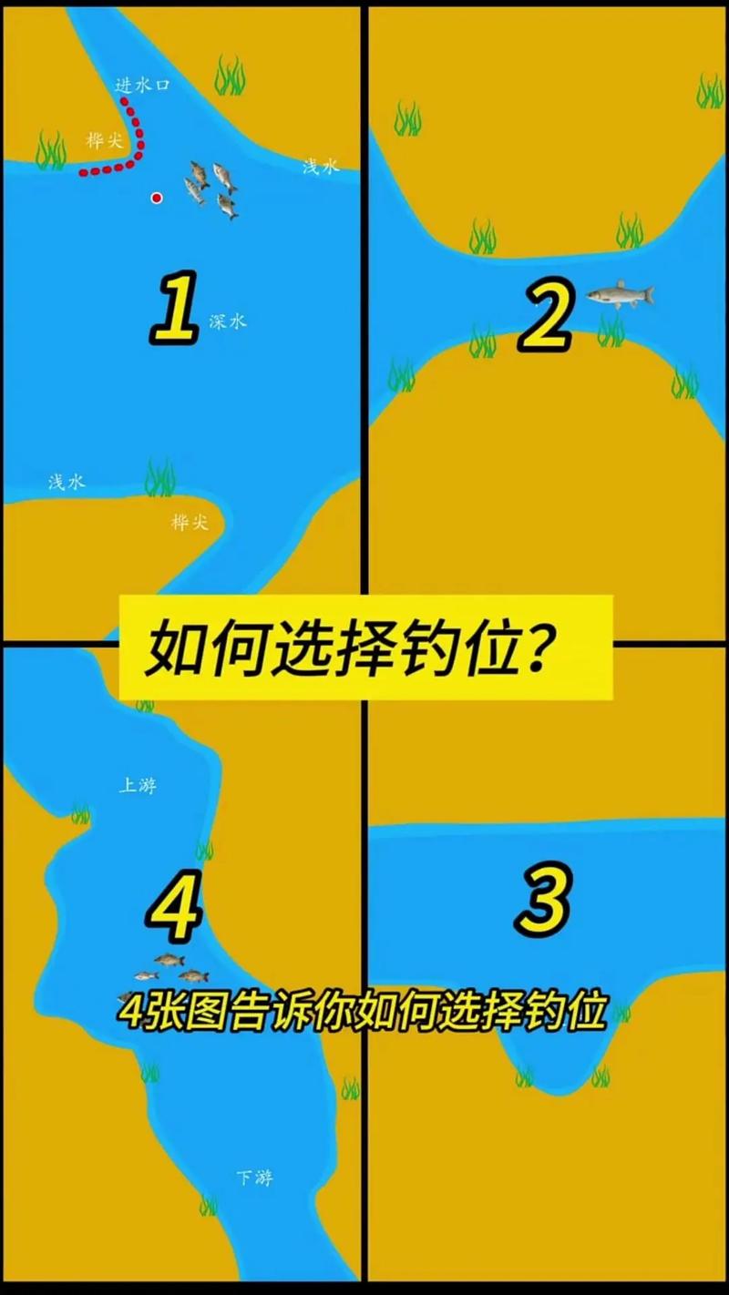 夏季釣魚用什么餌料比較好_夏季江河野釣_天氣變化前出釣