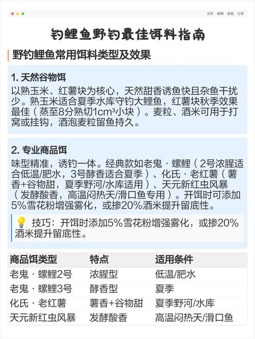 夏天釣鯉魚用什么餌_夏天釣鯉魚攻略_釣鯉魚自制餌料配方
