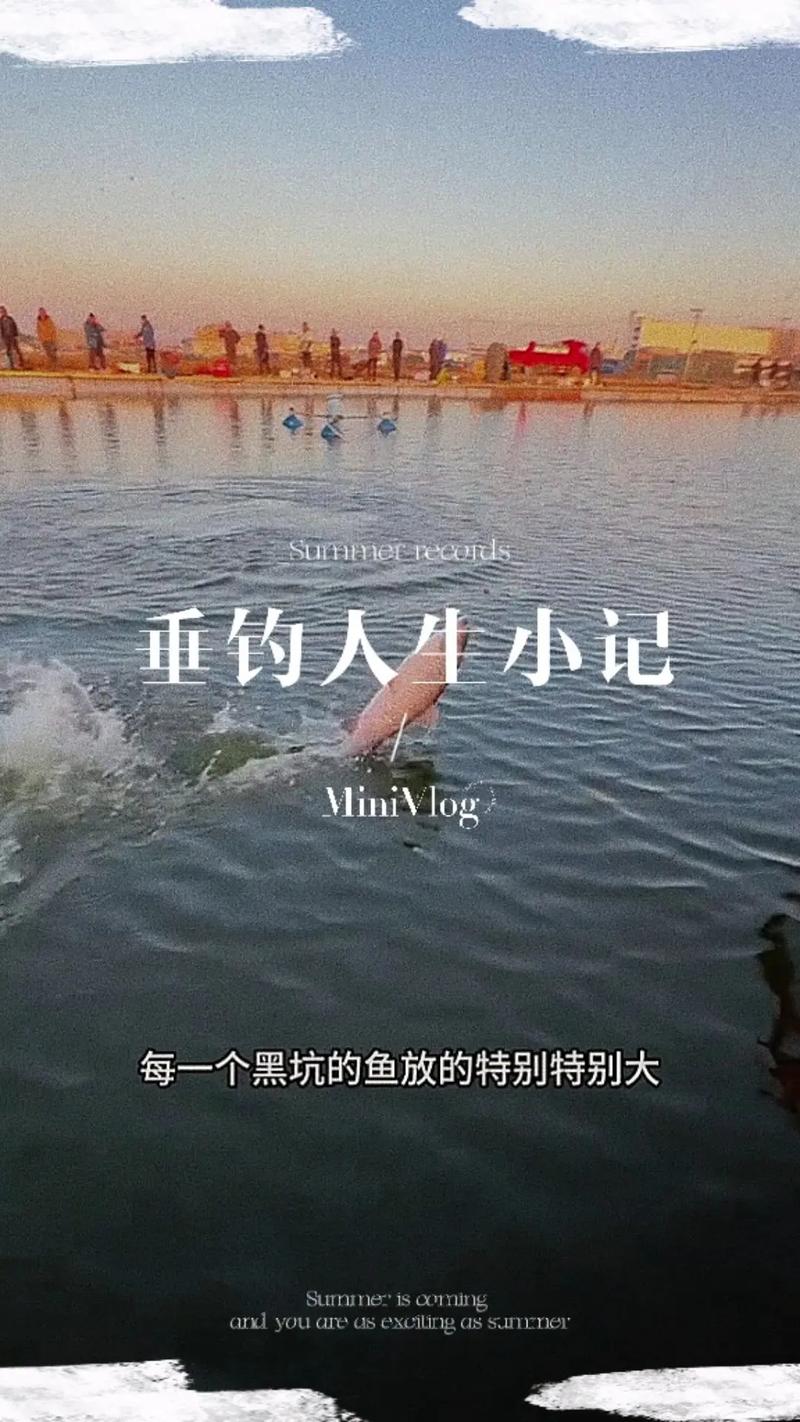 黑坑江湖_最新黑坑江湖_黑坑江湖視頻全集_如何開好黑坑_黑坑經營技巧