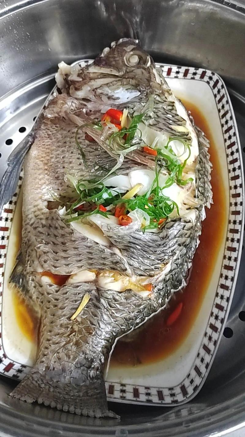 清蒸羅非魚做法_清蒸羅非魚去腥技巧_羅非魚的做法