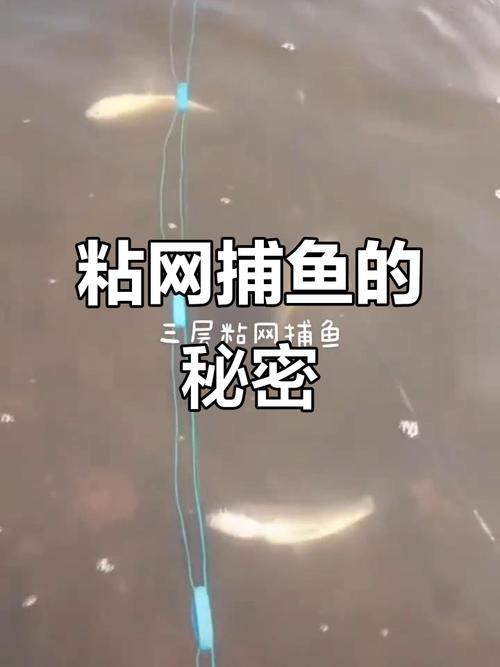 捕魚方法大全_捕魚賺金方案_捕魚技巧與注意事項